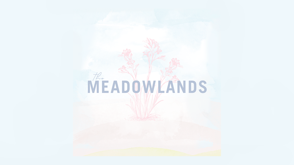 THE MEADOWLANDS